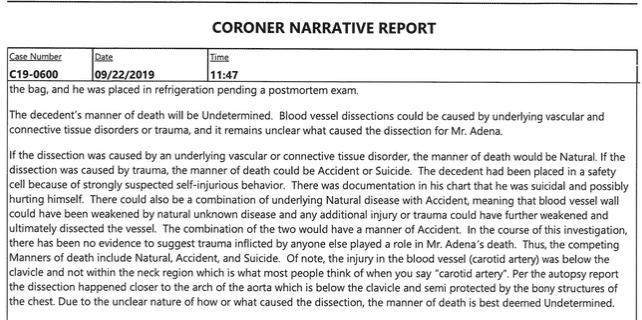 Adena’s autopsy report suggests that he died due to natural causes, accidental causes, or suicide. His family’s lawsuit alleges he died after being repeatedly beaten by jail staff.