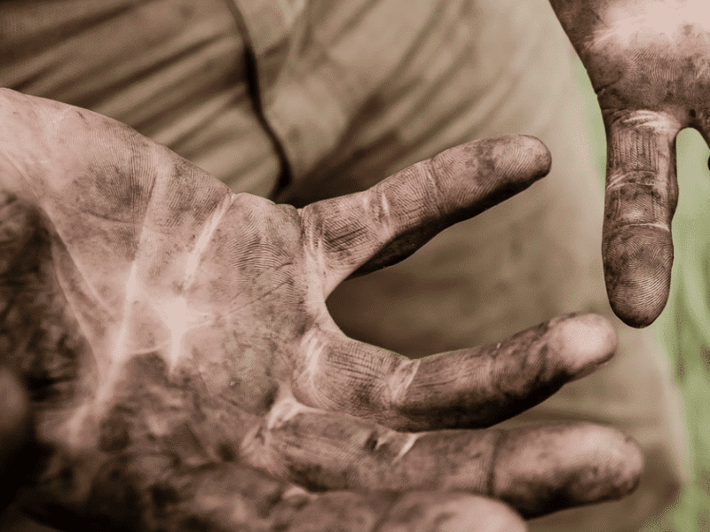 dirty hands against brown pants in field