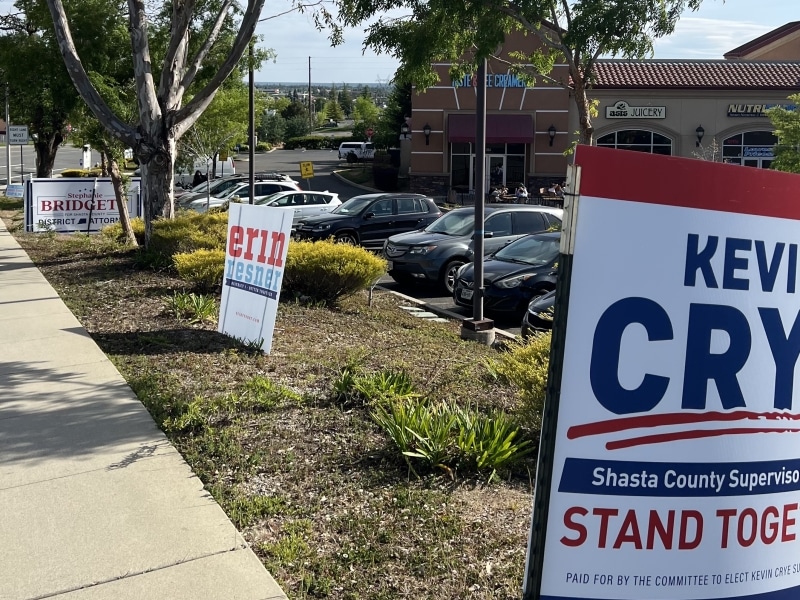 hill with multiple campaign signs on it