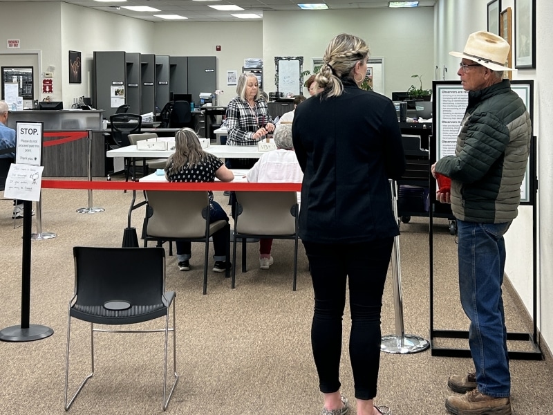 Assistant County Clerk and Registrar of Voters Joanna Francescut speaks to a member of the public during the March 18 manual tally process. Photo by Annelise Pierce
